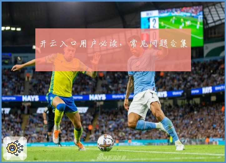 开云入口用户必读，常见问题合集