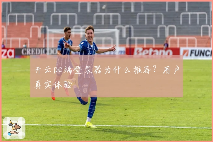 开云pc端登录器为什么推荐？用户真实体验