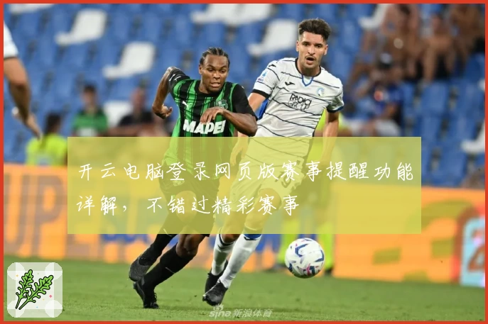 开云电脑登录网页版赛事提醒功能详解，不错过精彩赛事