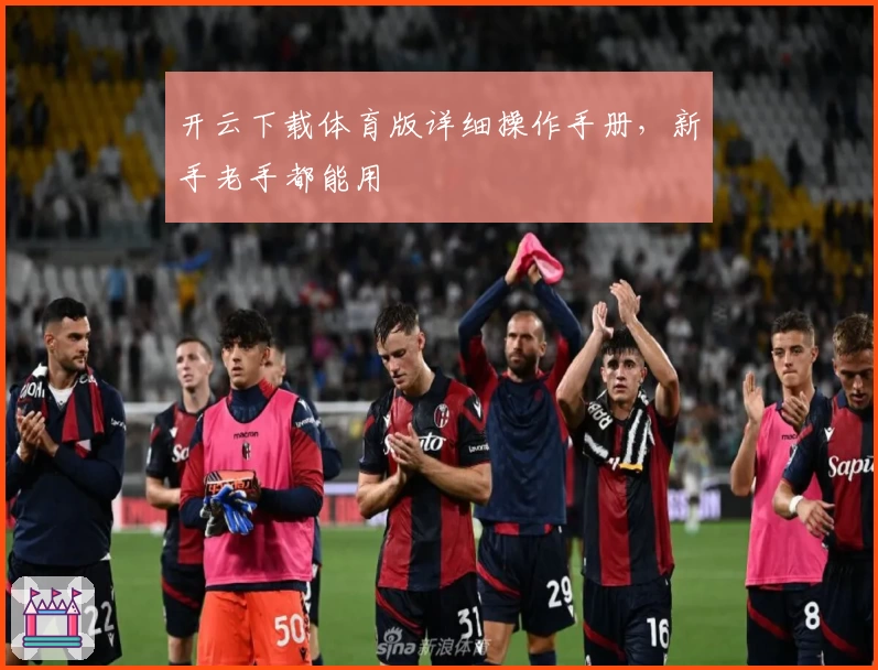 开云下载体育版详细操作手册，新手老手都能用